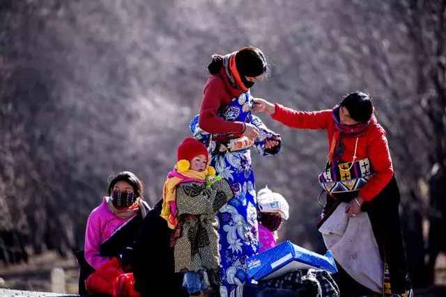 冬日甘南：雪域秘境的终极召唤