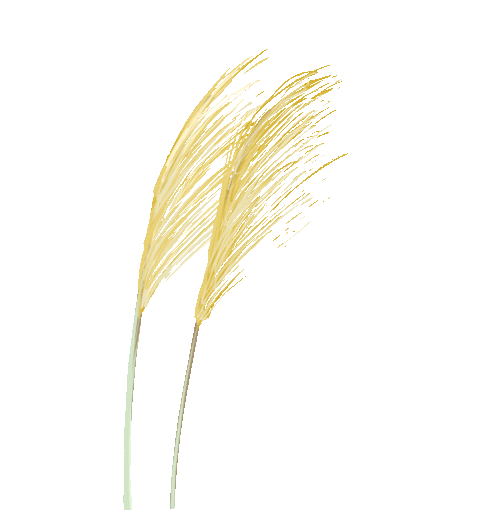 宁夏热浸涂塑钢管制造厂 法报纪录:回望宁夏第一个钢铁厂 宁夏热浸涂塑钢管制造厂 法报纪录:回望宁夏第一个钢铁厂