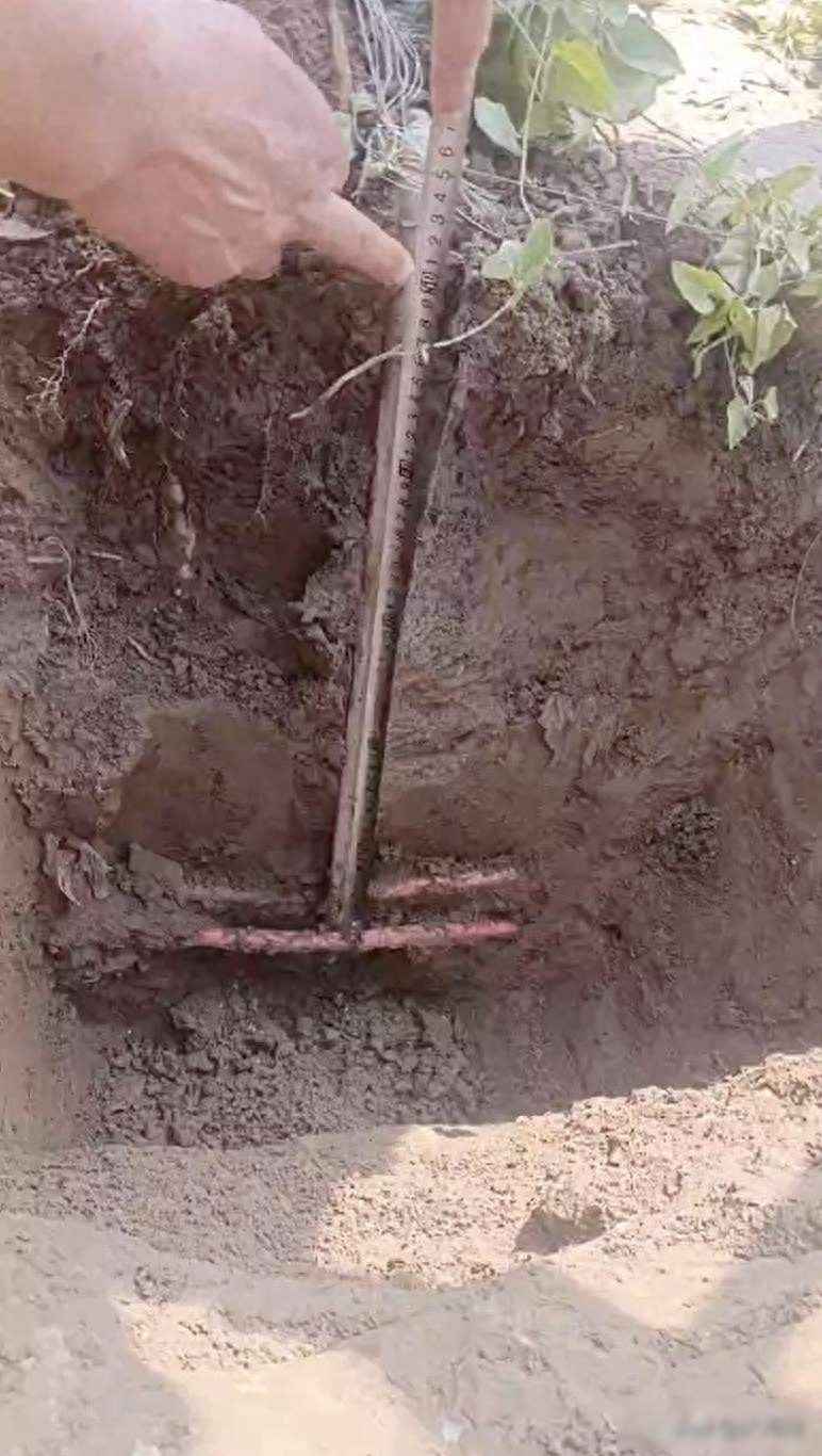 地埋电力管安全警示：兄弟触电悲剧揭露隐藏杀机