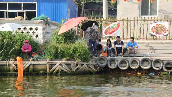 口述中国|雄安⑤知鱼善捕的老镇长:休渔期监管要到位 口述中国|雄安⑤知鱼善捕的老镇长:休渔期监管要到位