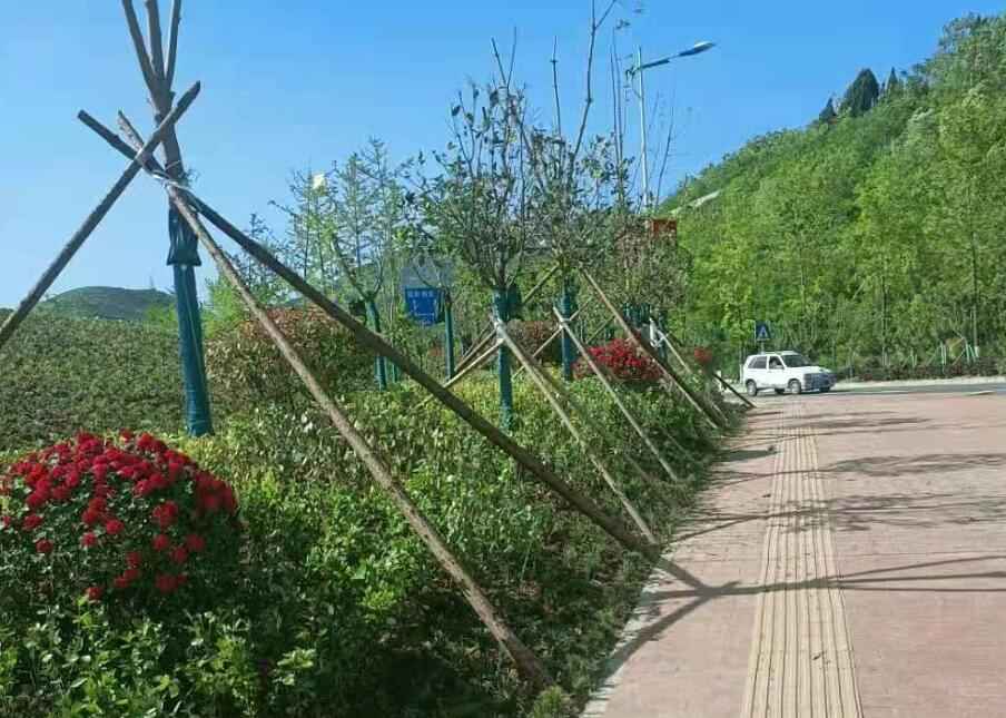 电力管沟与管涵建设:商州区园林绿化项目的高效推进 电力管沟与管涵建设:商州区园林绿化项目的高效推进