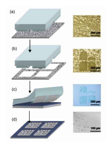 PNN电力管 光芯片,即将起飞! PNN电力管 光芯片,即将起飞!