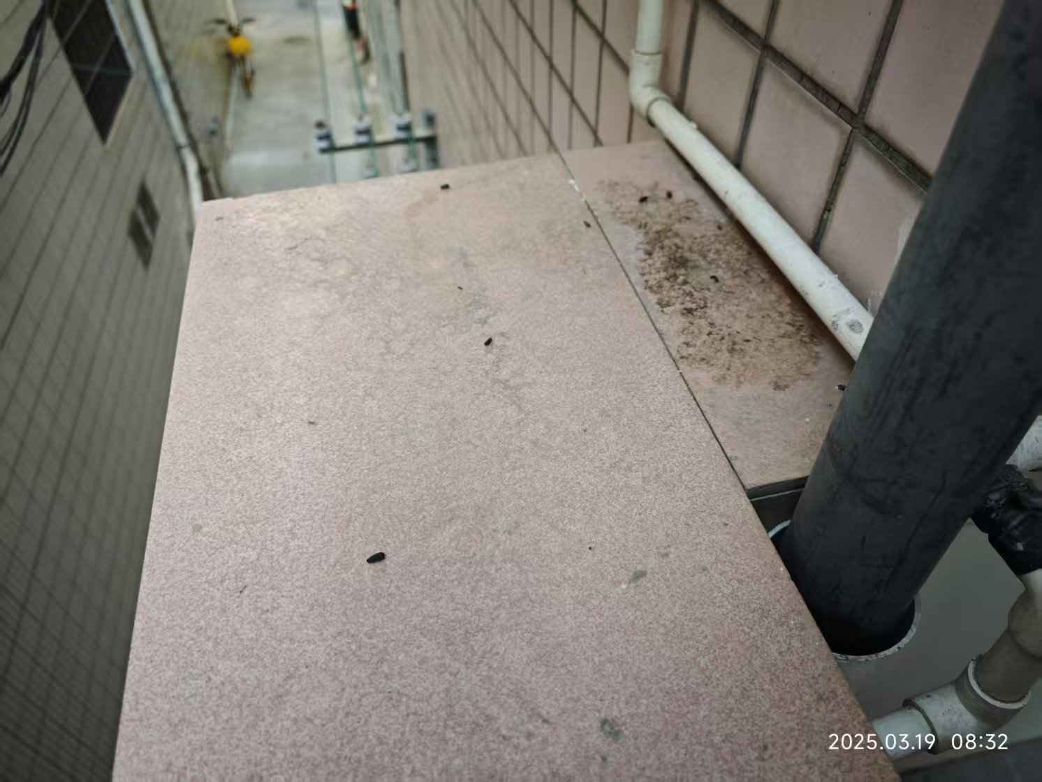 禅城PVC电力管巧解民生难题:供电局24小时响应,奥仁格管道保障安全 禅城PVC电力管巧解民生难题:供电局24小时响应,奥仁格管道保障安全