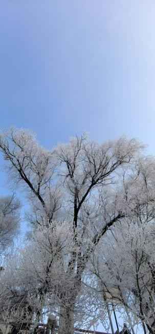 白山电力碳素管 吉林：白山与黑水