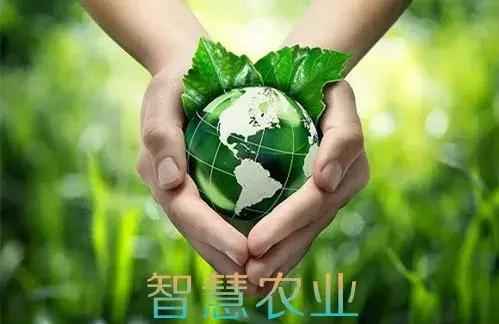 MPP电力管的利润 真牛!新华社为杨凌这家涉农企业转型点赞 MPP电力管的利润 真牛!新华社为杨凌这家涉农企业转型点赞