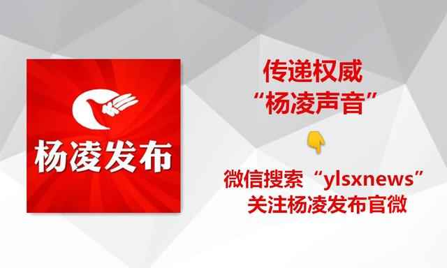 MPP电力管的利润 真牛!新华社为杨凌这家涉农企业转型点赞 MPP电力管的利润 真牛!新华社为杨凌这家涉农企业转型点赞