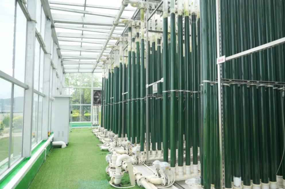 华润电力深汕公司： “双碳”引领 点“绿”成金