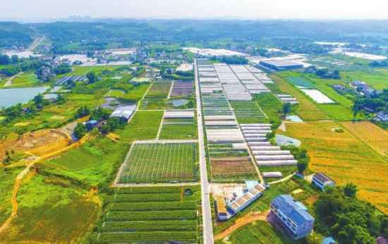 南充塑胶电力管型号 南充：风正帆悬 大城崛起